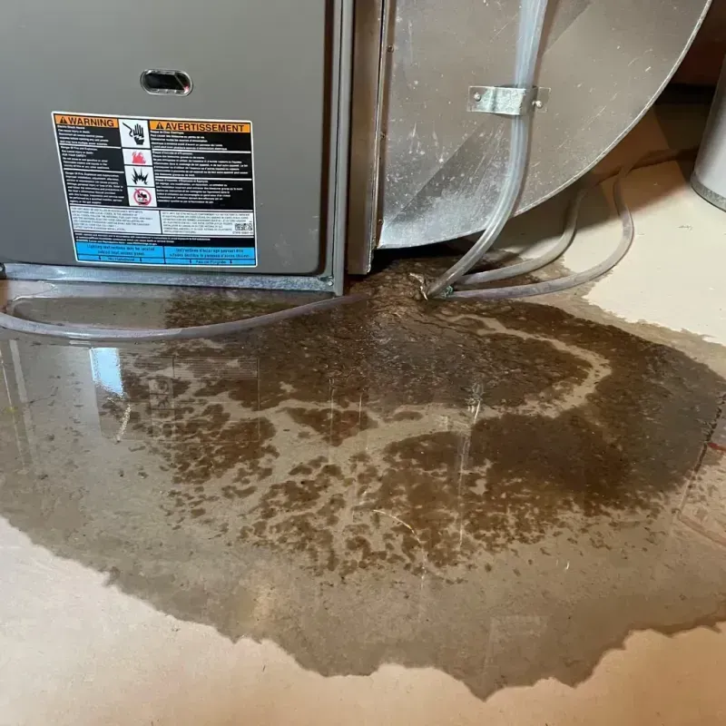 Appliance Leak Cleanup in Armada, MI